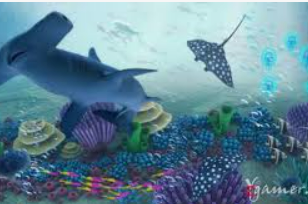 云开足球平台免费版